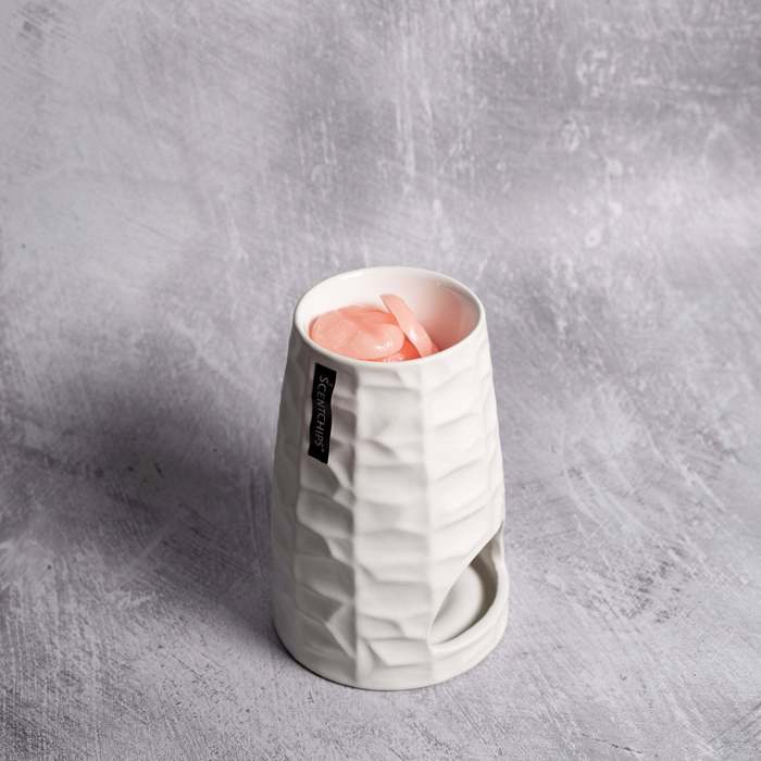 Aromatistis Scentchips me Epistrosi Porselanis 'Chisseld White' Meglos 850109